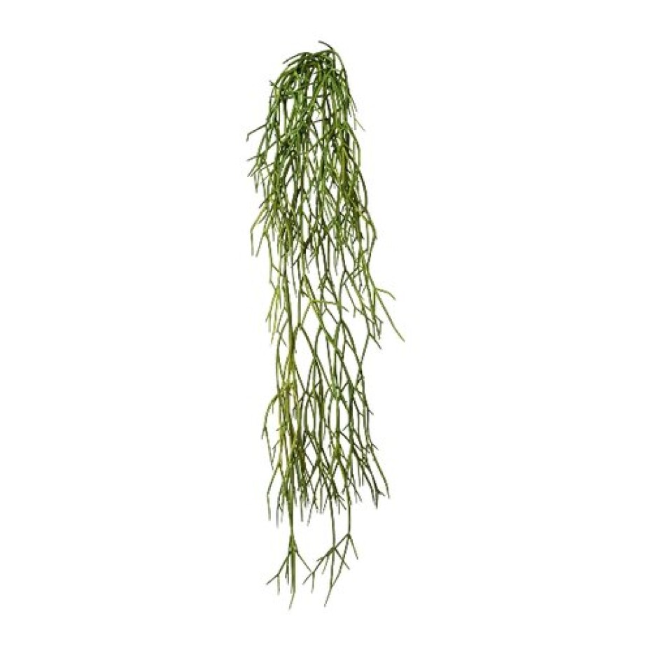 Umělá rostlina Rhipsalis závěsná, 61 cm, zelená - main (0)
