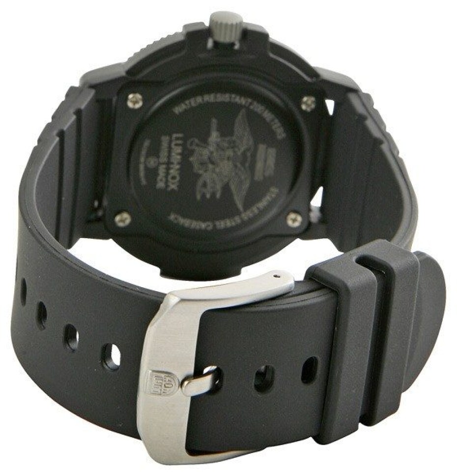 Luminox 3001.F - main (15)