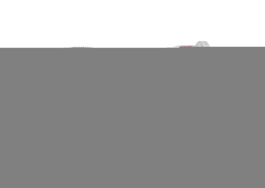 Force Osa zapouzdřená 119 BSA Al misky + Fe tělo - main (0)