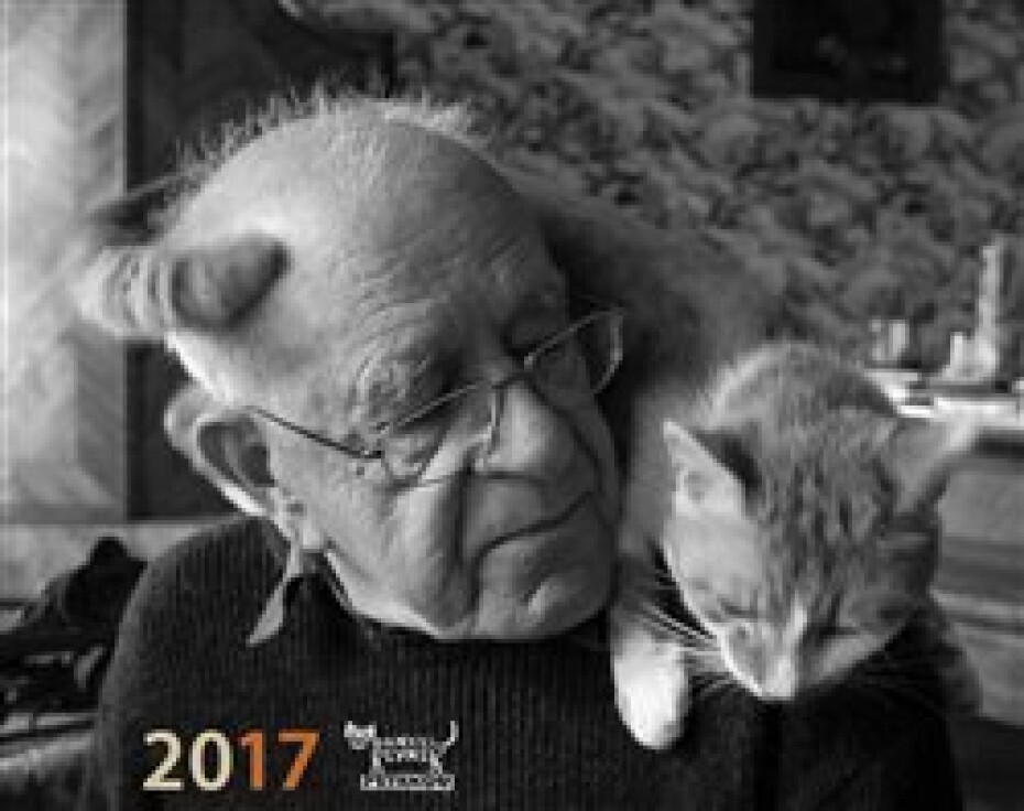 Kalendář Daniel Reynek 2017 - stolní - Daniel Reynek - main (0)