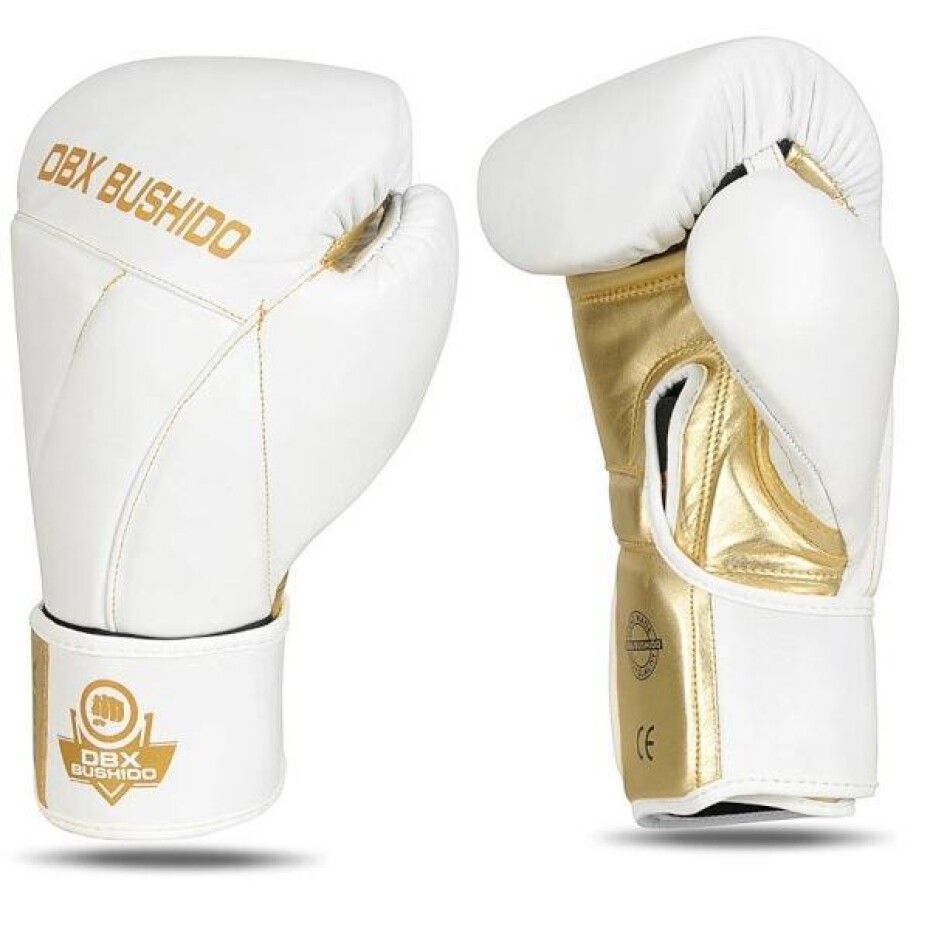 BUSHIDO Boxerské rukavice DBX B-2v19 POUZE 14oz (VÝPRODEJ) - main (0)