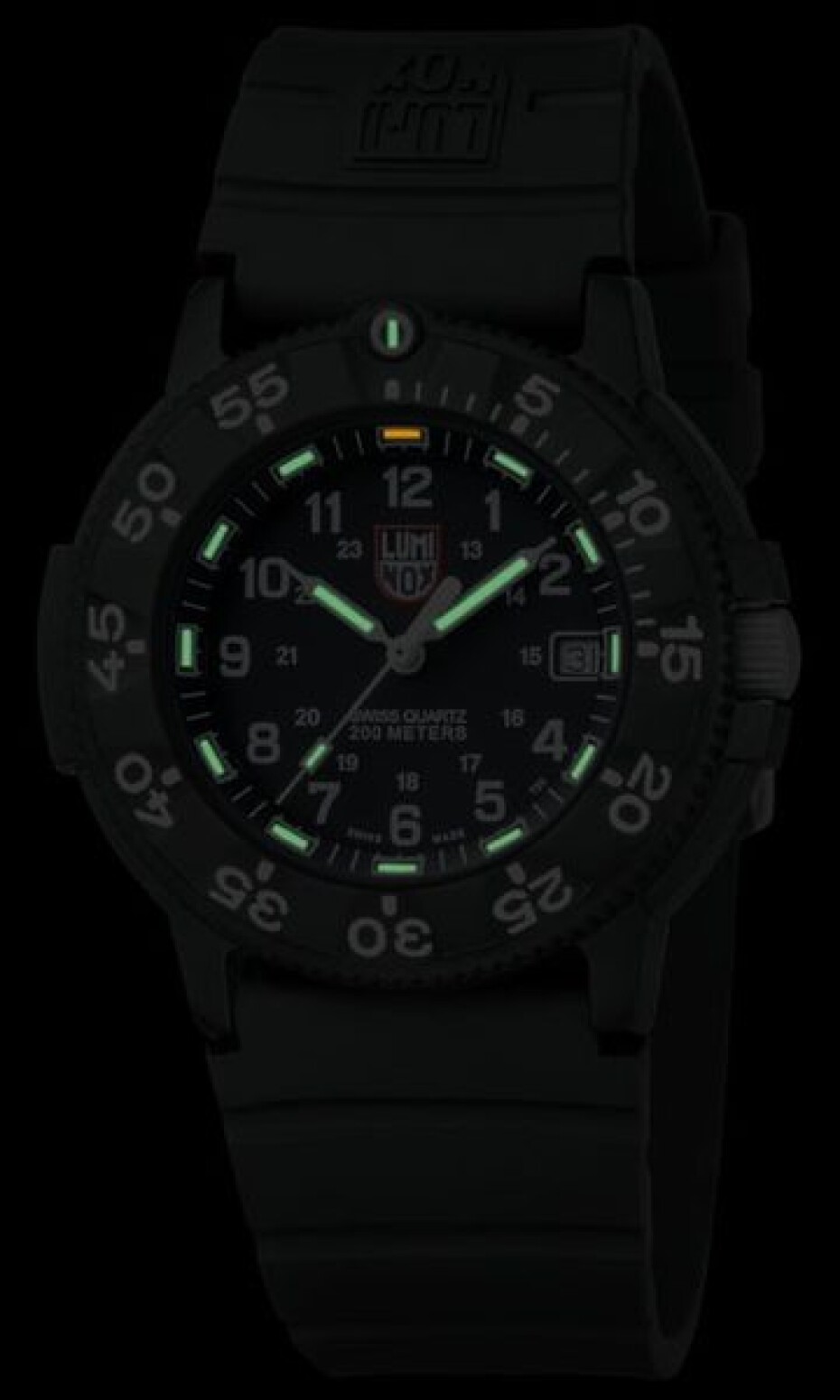 Luminox 3001.F - main (13)