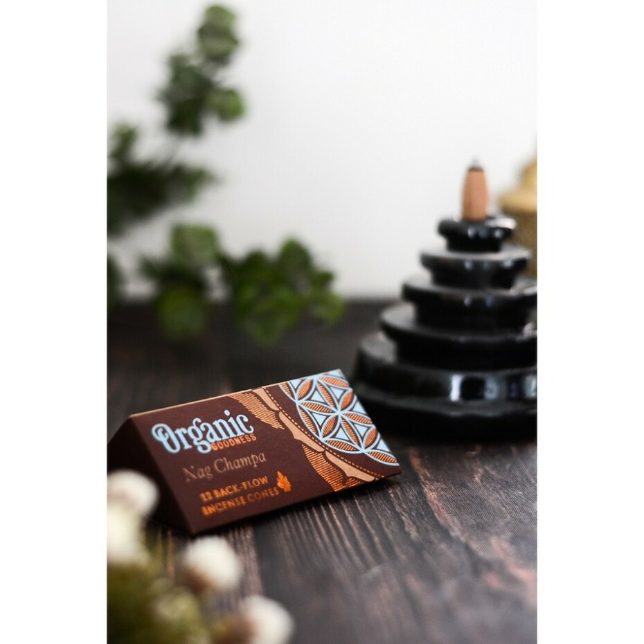 Sada 12 vonných františků se zpětným tokem, Nag Champa - main (1)