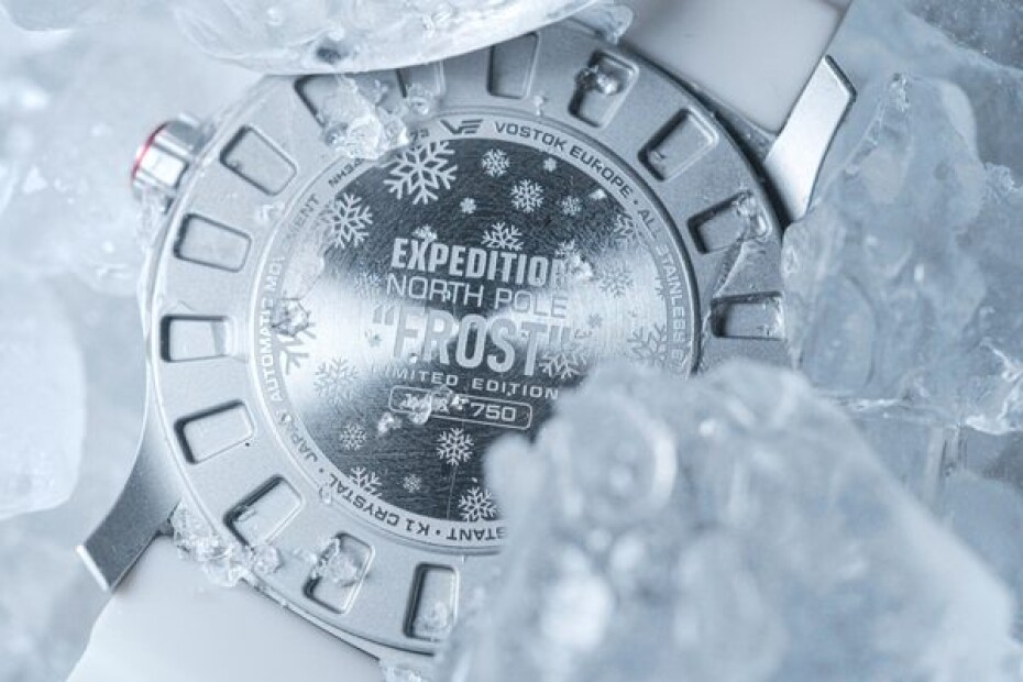 Vostok Europe Expediton North Pole Frost NH34-595A773 - main (5)