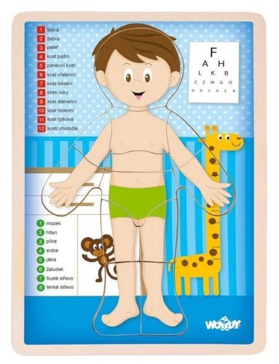 Woody Puzzle Lidské tělo - Kluk, v českém jazyce - main (0)