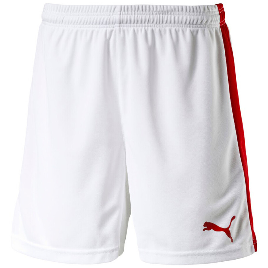 Pánské šortky Puma  Pitch  bílo-zelená, L - main (9)
