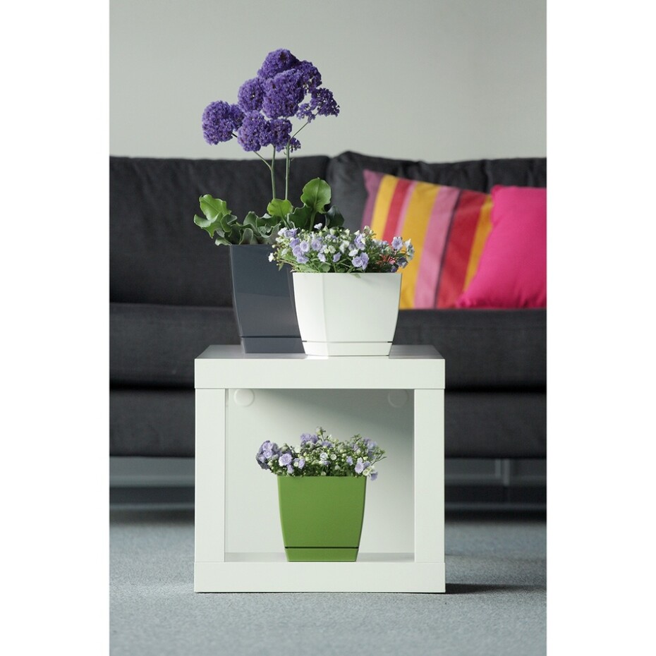 Prosperplast Plastový truhlík Coubi Case s miskou kávová, 39 cm - main (1)
