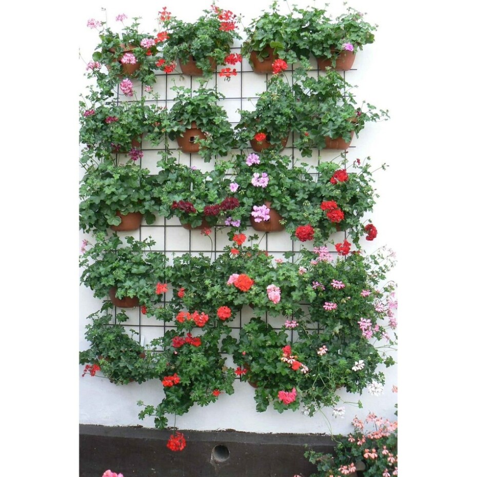 Plastia Samozavlažovací Květináč na zeď 29 cm teracota - main (1)
