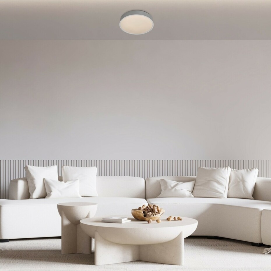 Rabalux 75010 stropní LED svítidlo Larcia, 18 W, stříbrná - main (5)