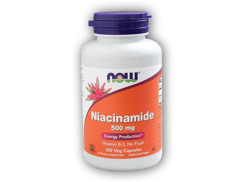 NOW Foods Vitamin B3 Nikotinamid (niacinamid) 500mg 100 kapslí - main (0)