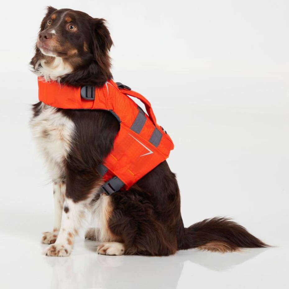 NRS CFD Dog vesta - main (0)