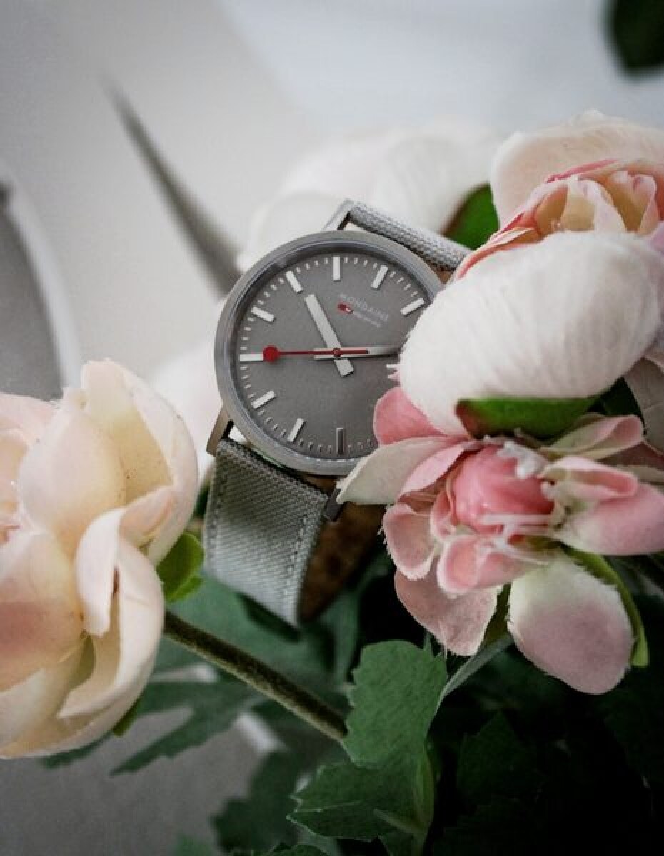 Mondaine Classic A660.30314.80SBH - main (19)