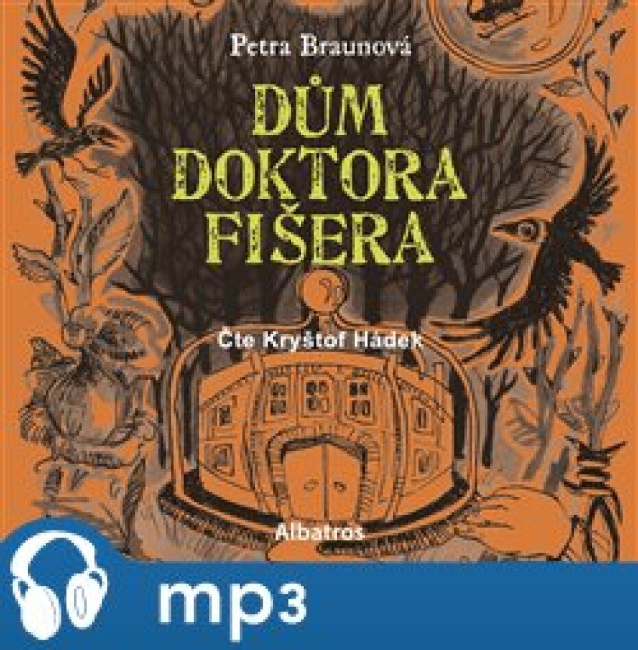 Dům doktora Fišera, mp3 - Petra Braunová - main (0)