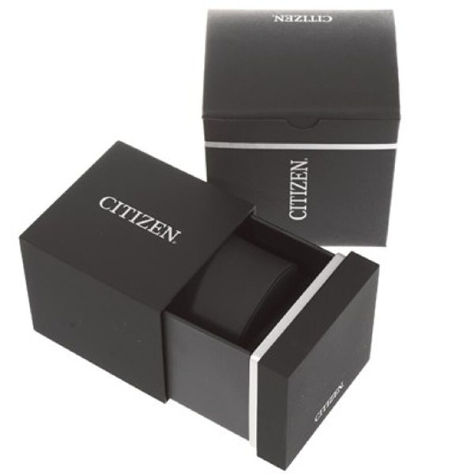 Citizen Elegant EM0503-83X - main (5)