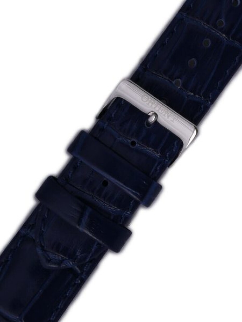 Řemínek Orient UDFJBSD 22mm (pro model FAG00) - main (0)