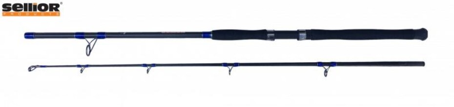 Prut Sellior Gladius 2,1m 400-600g - main (0)