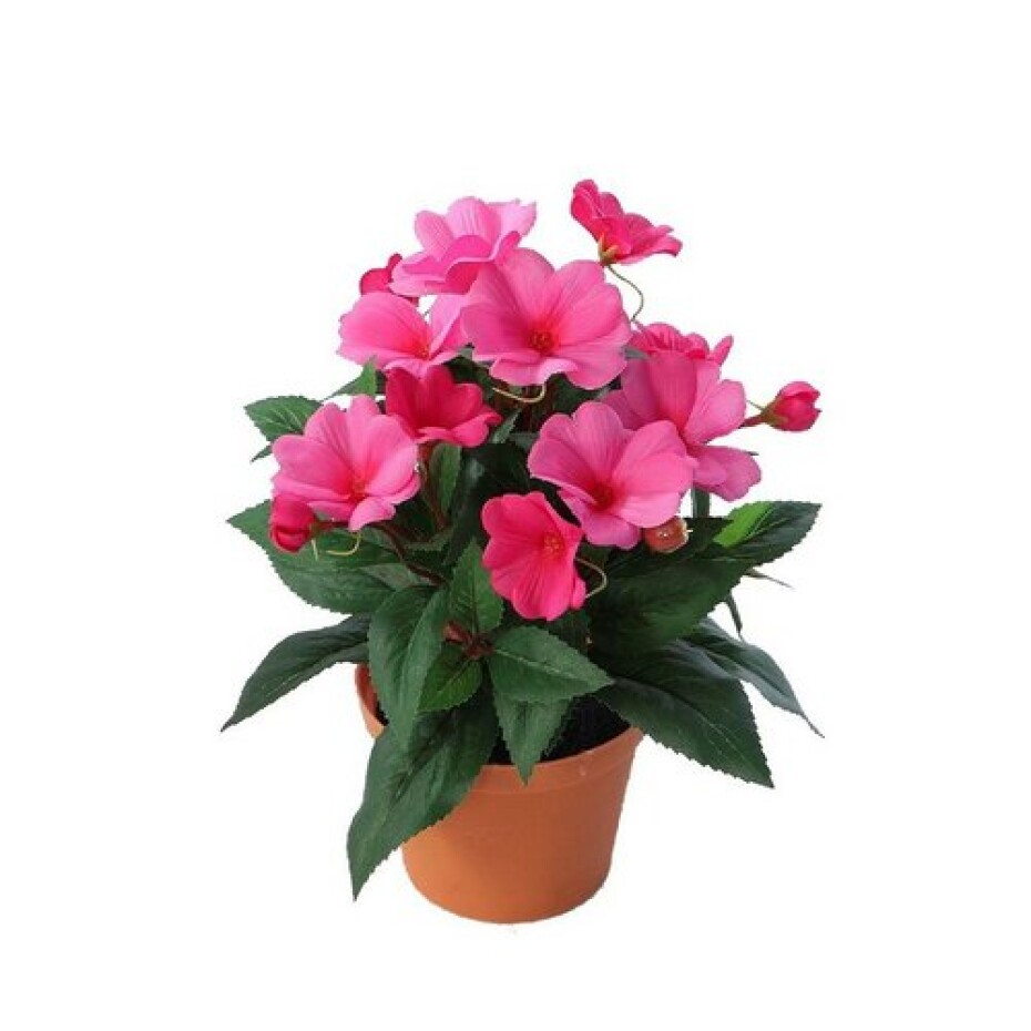 Umělá Netykavka v květináči tmavě růžová, 24 cm - main (0)
