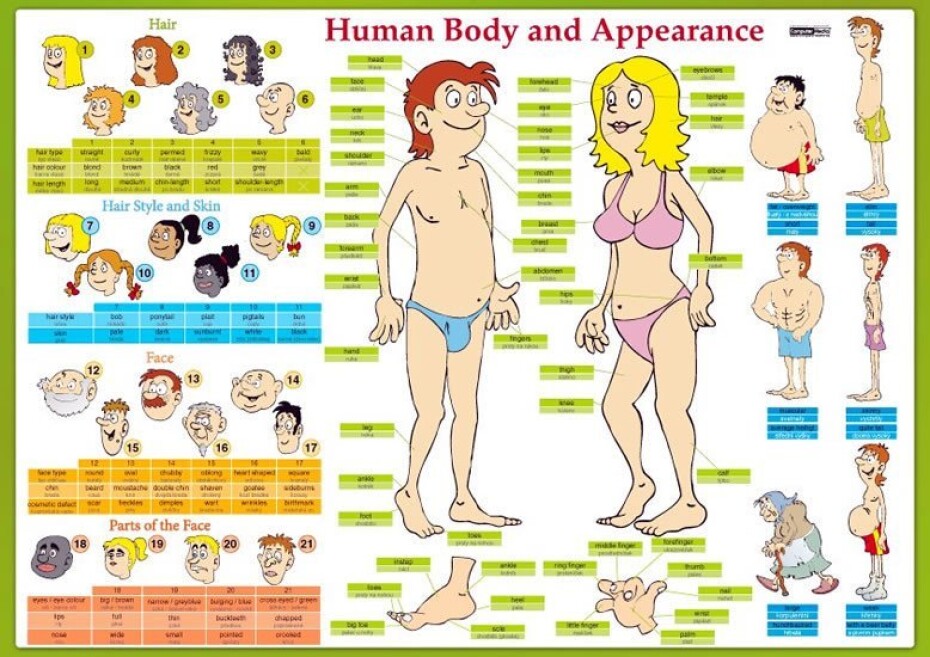 Human Body and Appearance / Lidské tělo - Naučná karta - Eva Tinková - main (0)