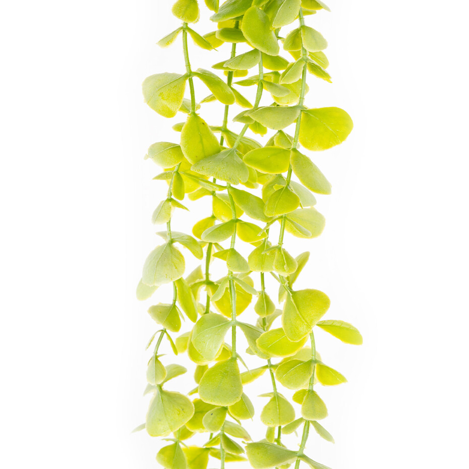 Umělý keřík drobnolistý Eukalyptus, sv. zelená, 120 cm - main (0)