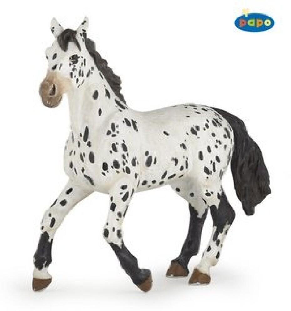 Appaloosa černý - main (0)