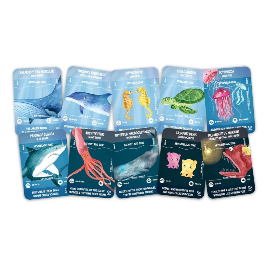 Hape Puzzle - Život v oceánu, délka 1,5 m - main (1)