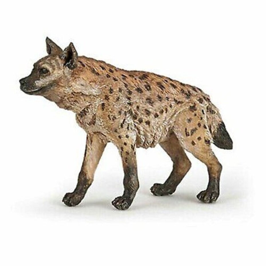 Hyena - main (0)