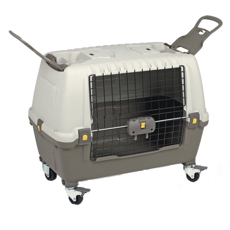 SKUDO CAR 77x43x51 cm přepravka do auta - main (1)
