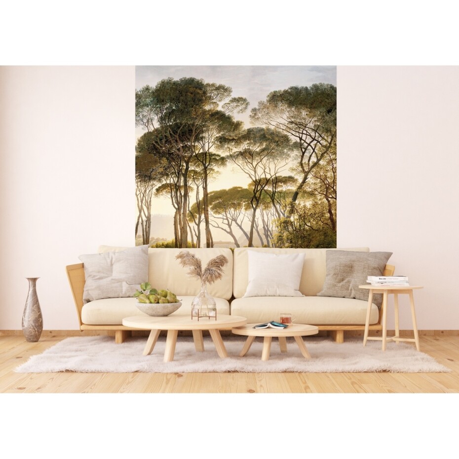 Fototapeta Old Trees 180 x 255 cm, 2 díly - main (1)