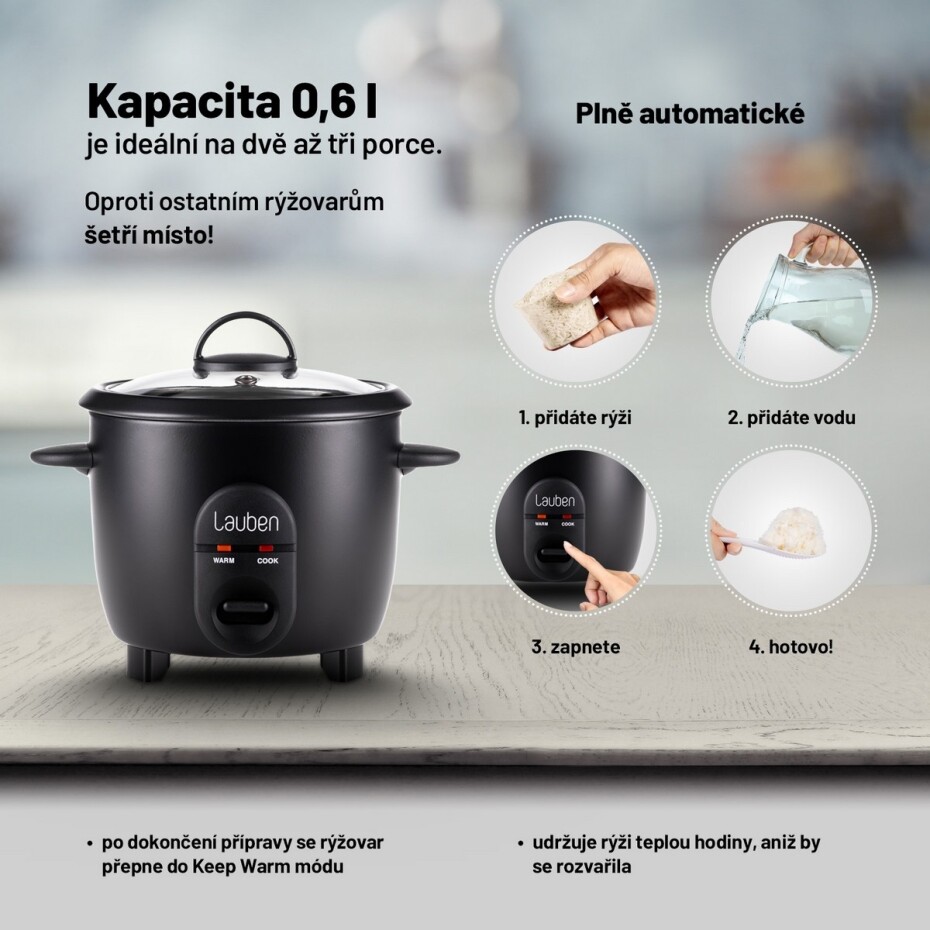 Lauben Rice Cooker 600BC - Stylový rýžovar - main (1)
