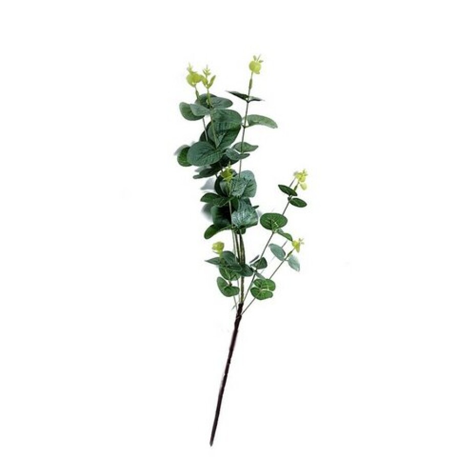 Umělý stonek Eukalyptu zelená, 67 cm - main (0)