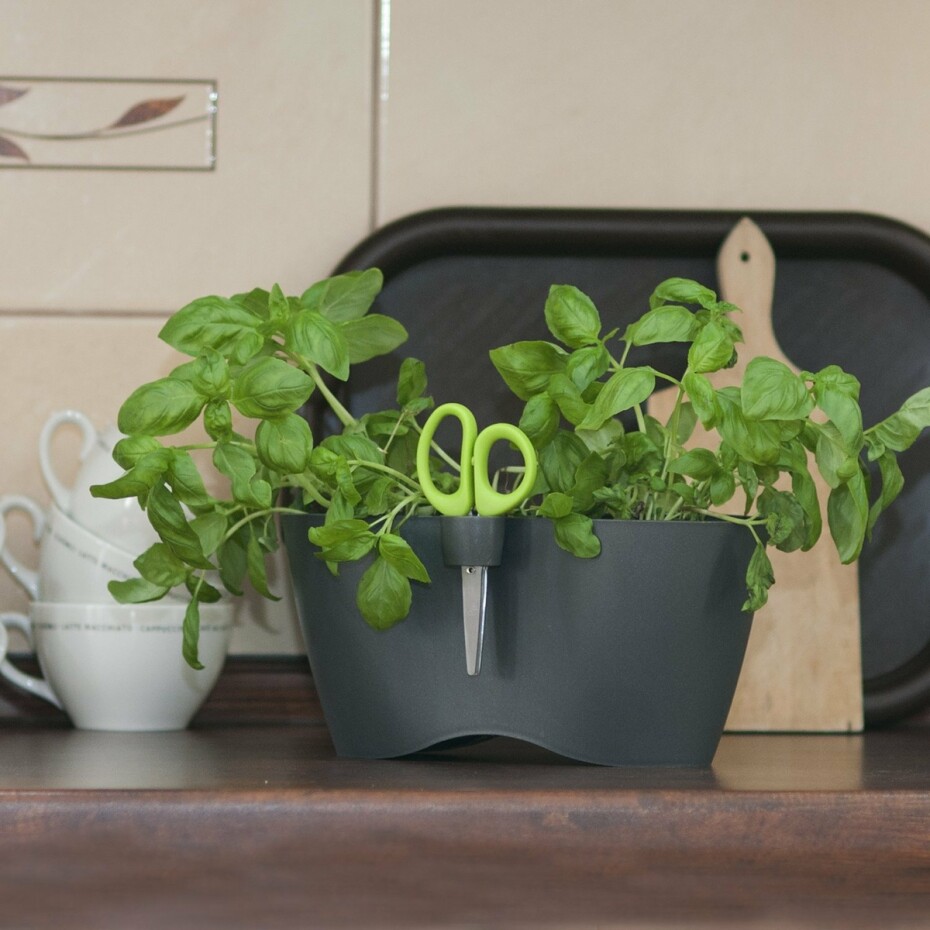 Květináč na bylinky Limes Dublo 2,3 l, grafitová - main (2)