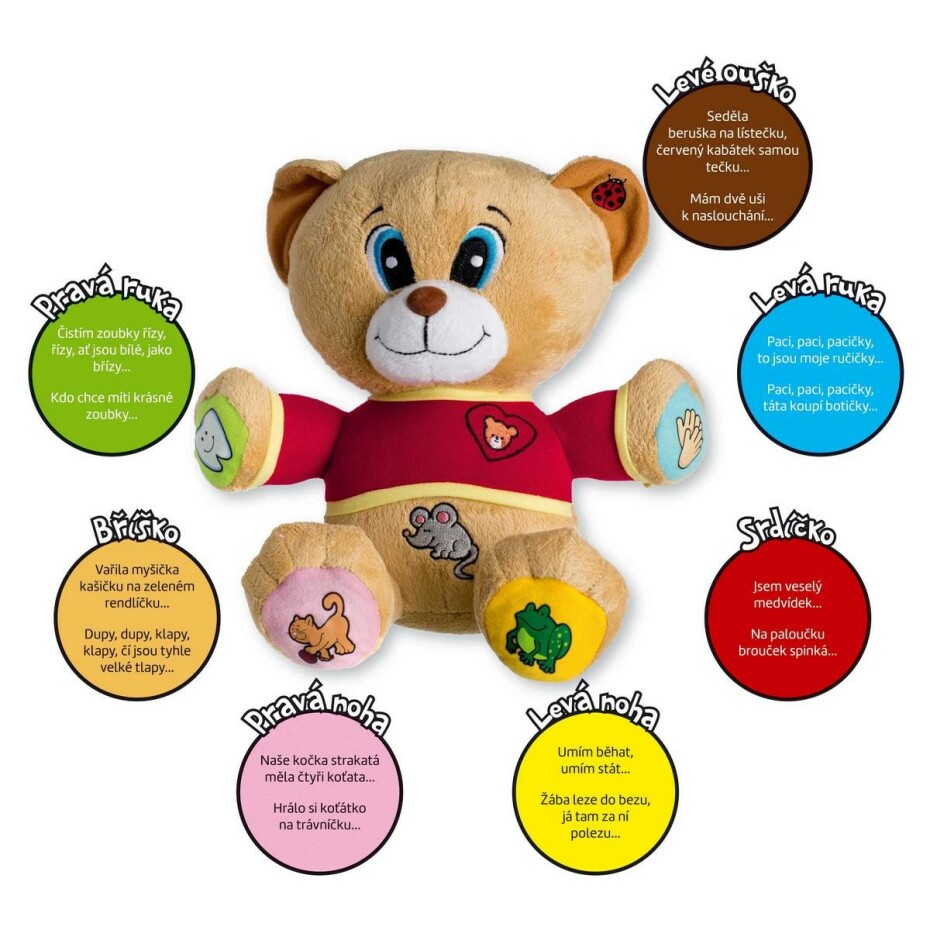 Teddies Mluvící medvěd Tedík, 30 cm - main (1)