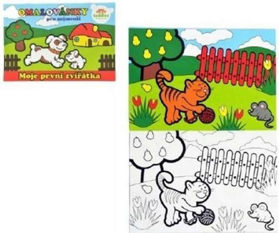 Moje první zvířátka - Omalovánky, 1.  vydání - main (0)