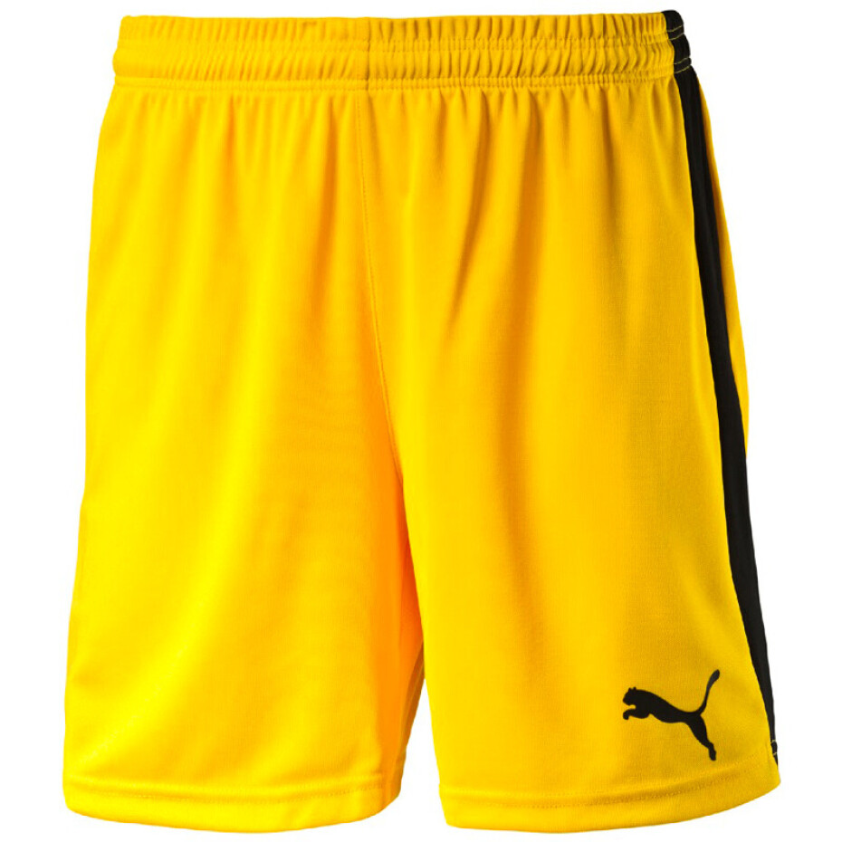 Pánské šortky Puma  Pitch  černo-bílá, L - main (0)