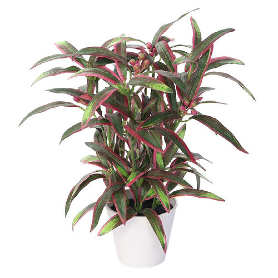 Umělá Aucuba v květináči zeleno - fialová, 32 cm - main (0)