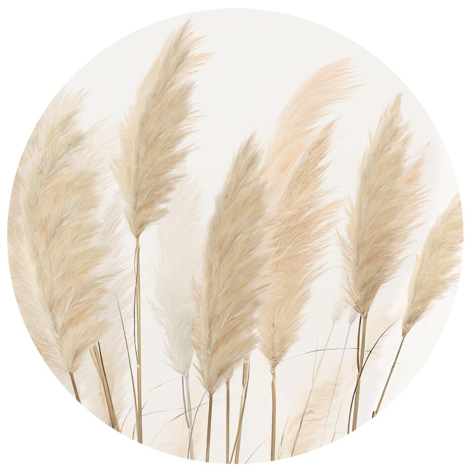 Kruhová fototapeta Pampas 125 x 125 cm, 2 díly - main (0)