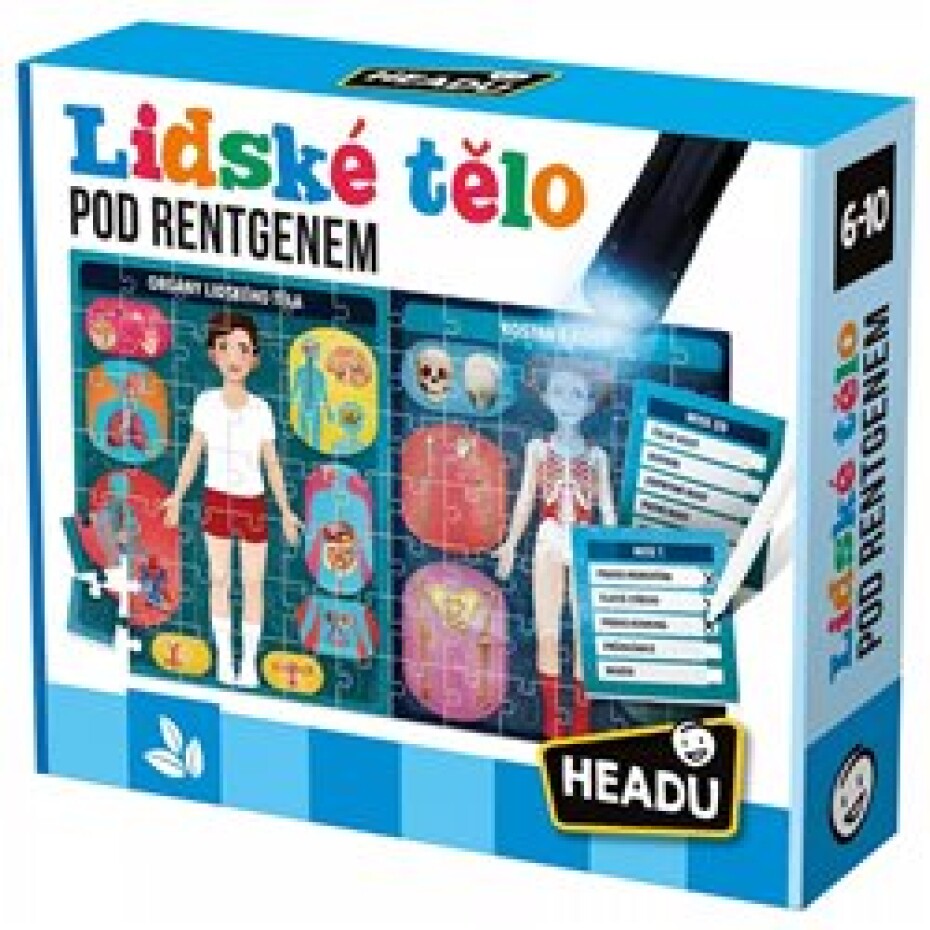 Headu Lidské tělo pod rentgenem - main (0)