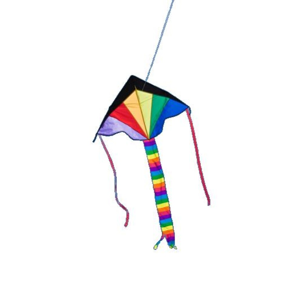 Ecoline Simple Flyer Rainbow 120cm - main (0)