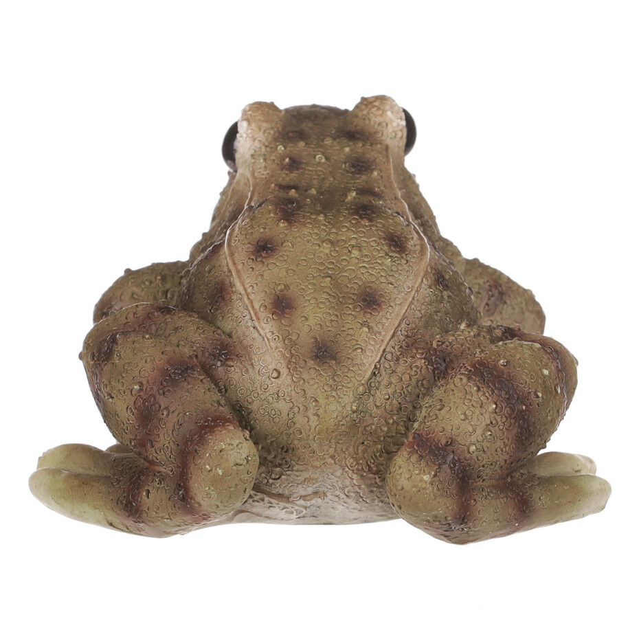 Zahradní dekorace Žába, 10 x 6 x 8 cm, polyresin - main (4)