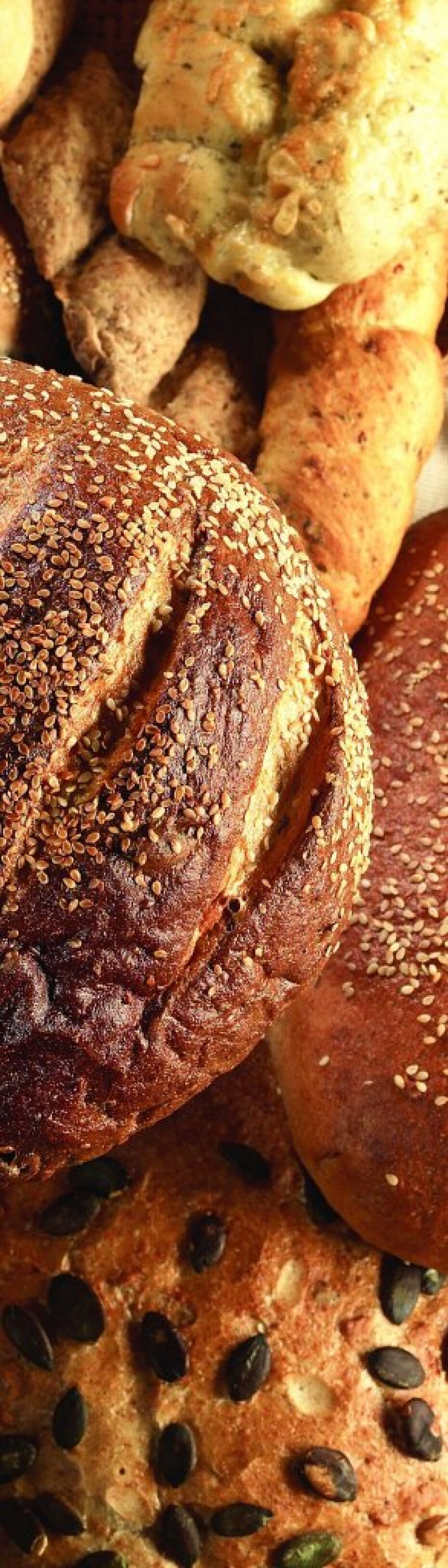 Záložka - Gourmet - main (0)