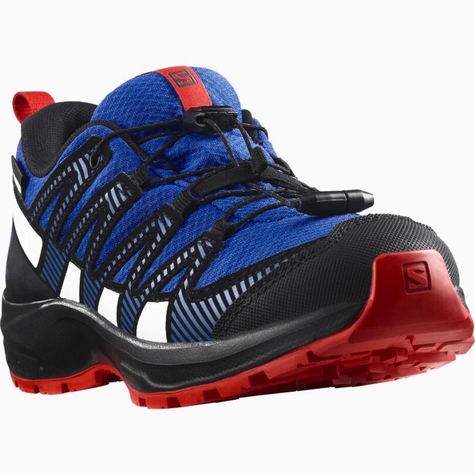 Dětská outdoorová obuv Salomon  XA PRO V8 CSWP J  UK 3,5 - main (3)