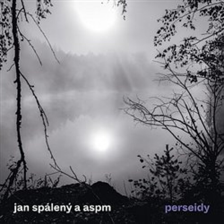 Perseidy - ASPM, Jan Spálený - main (0)