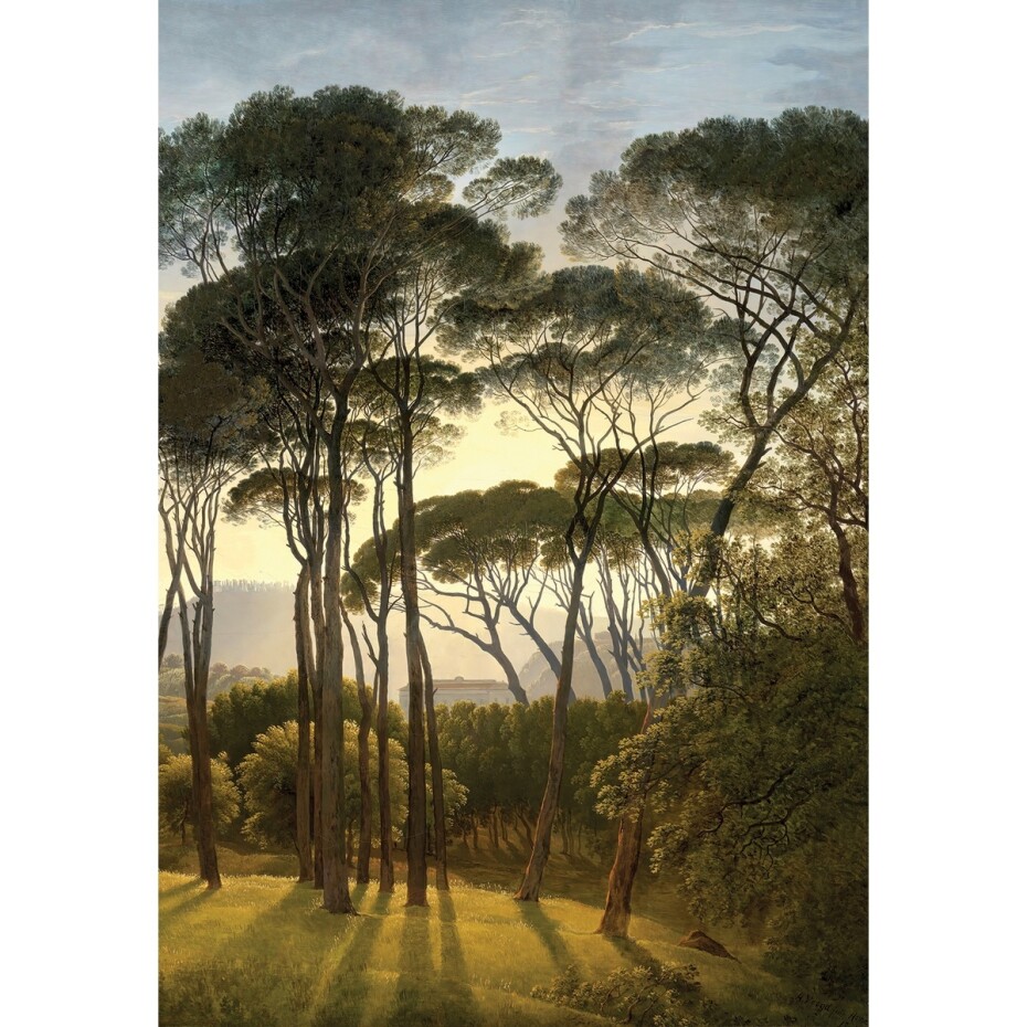 Fototapeta Old Trees 180 x 255 cm, 2 díly - main (0)