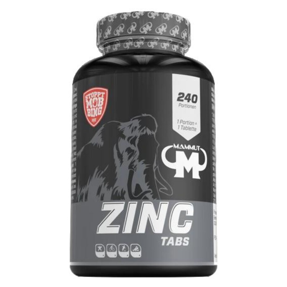 Mammut Zinc 240 tablet - main (0)