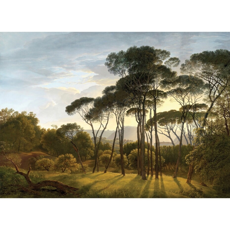 Fototapeta XXL Old Forest 360 x 254 cm, 4 díly - main (0)