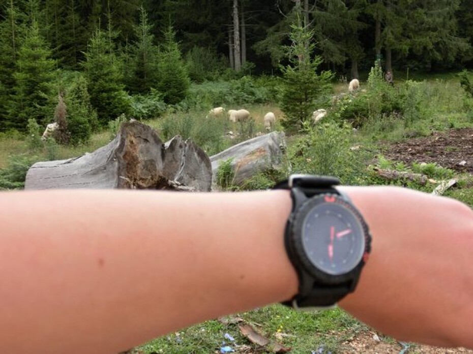 Traser P6600 Red Combat nato - main (14)