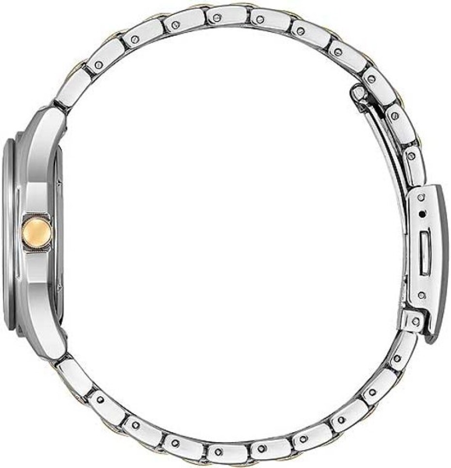 Citizen Eco-Drive Classic Ladies FE2116-85A - main (2)