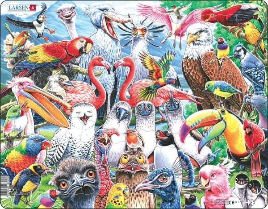 Puzzle Veselí ptáčci - main (0)