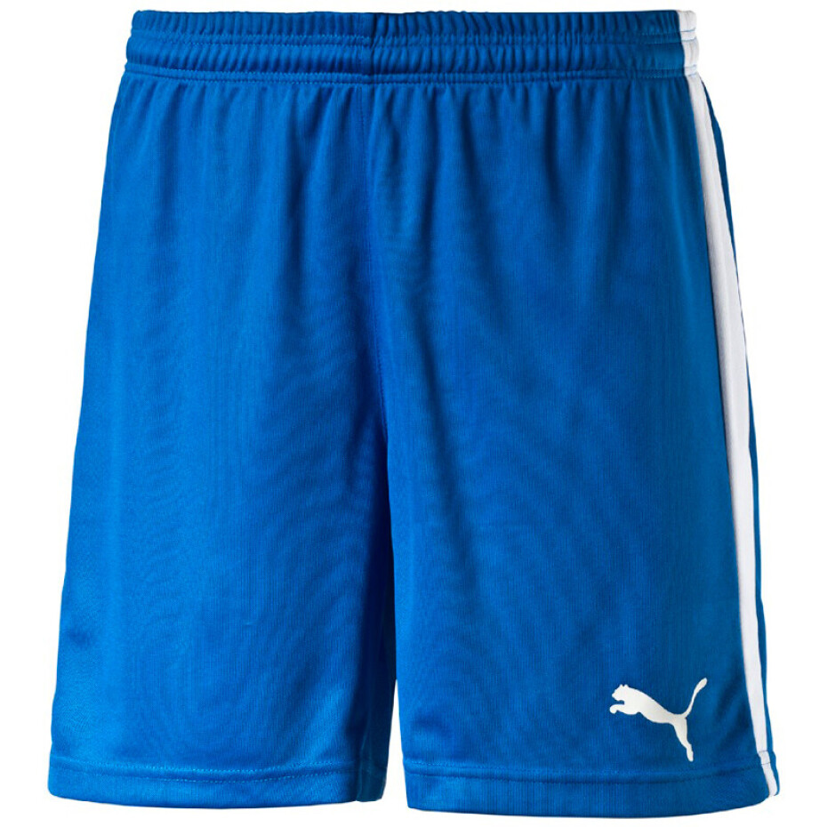 Pánské šortky Puma  Pitch  bílo-zelená, L - main (6)