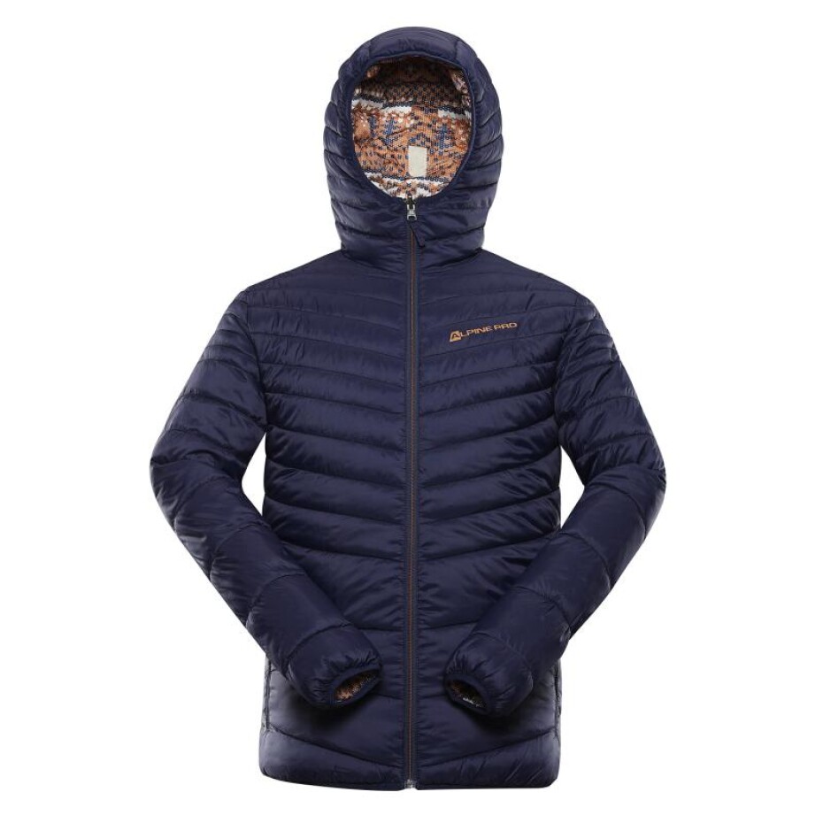 Alpine Pro EROM - main (0)